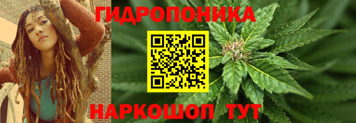 МАРИХУАНА White Widow Сунжа